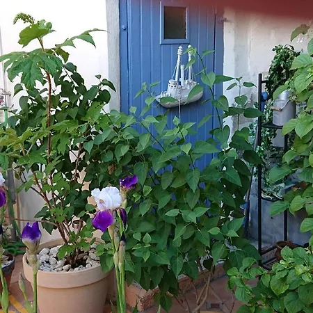 La Maison De St Victor Alojamento de Acomodação e Pequeno-almoço *
